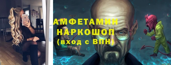 ПСИЛОЦИБИНОВЫЕ ГРИБЫ Новозыбков