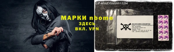 молекула духа Новодвинск