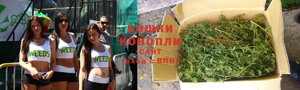 молекула духа Новодвинск