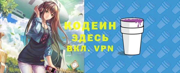 молекула духа Новодвинск
